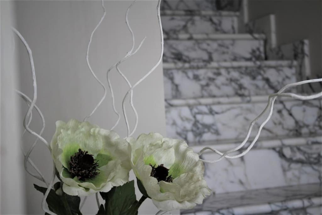 La Terrazza Di Mariel Apartment ปาคีโน ภายนอก รูปภาพ